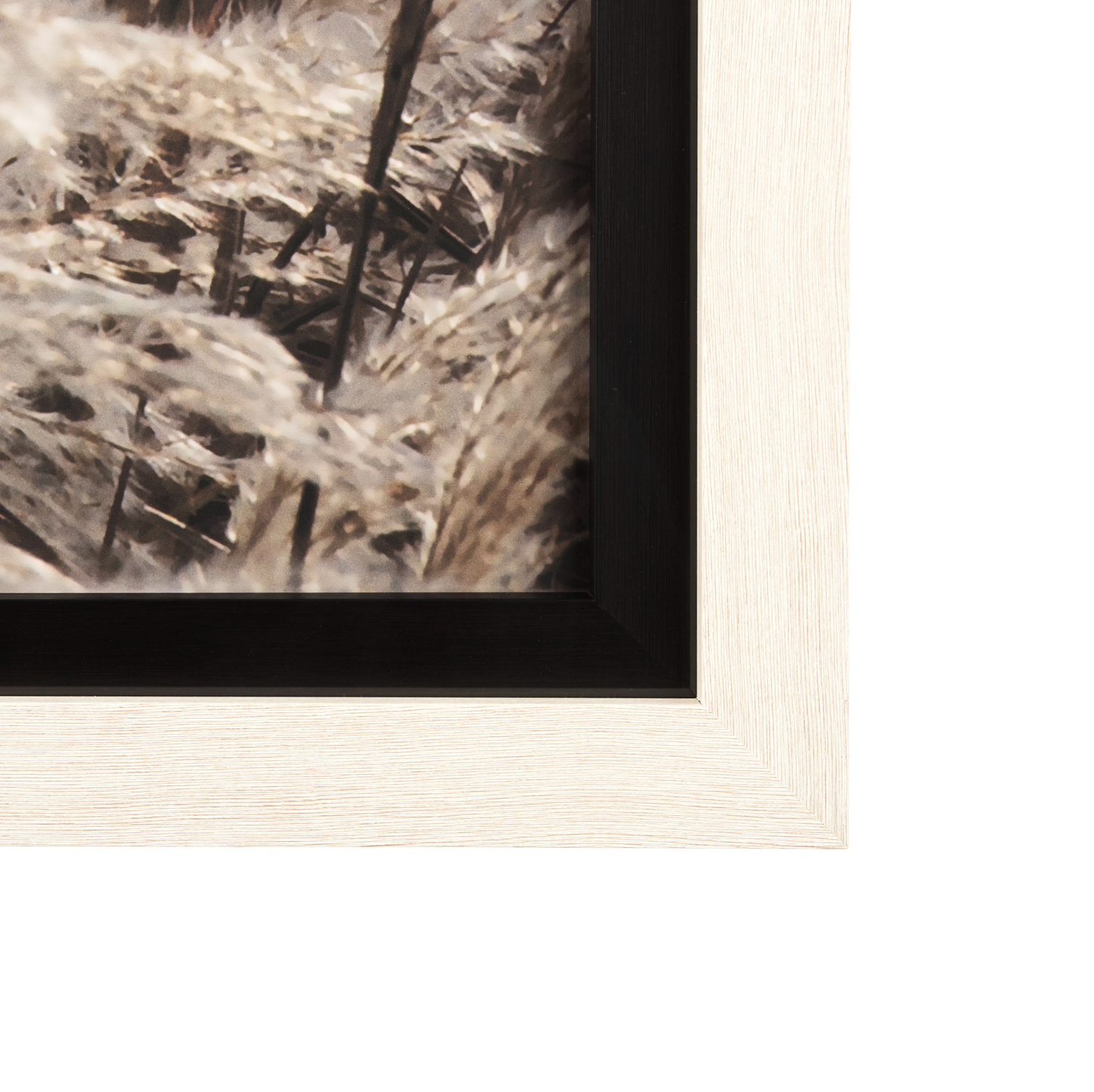 Nature's Melody Set of 2 Wall Art: 2nd Product Corner View