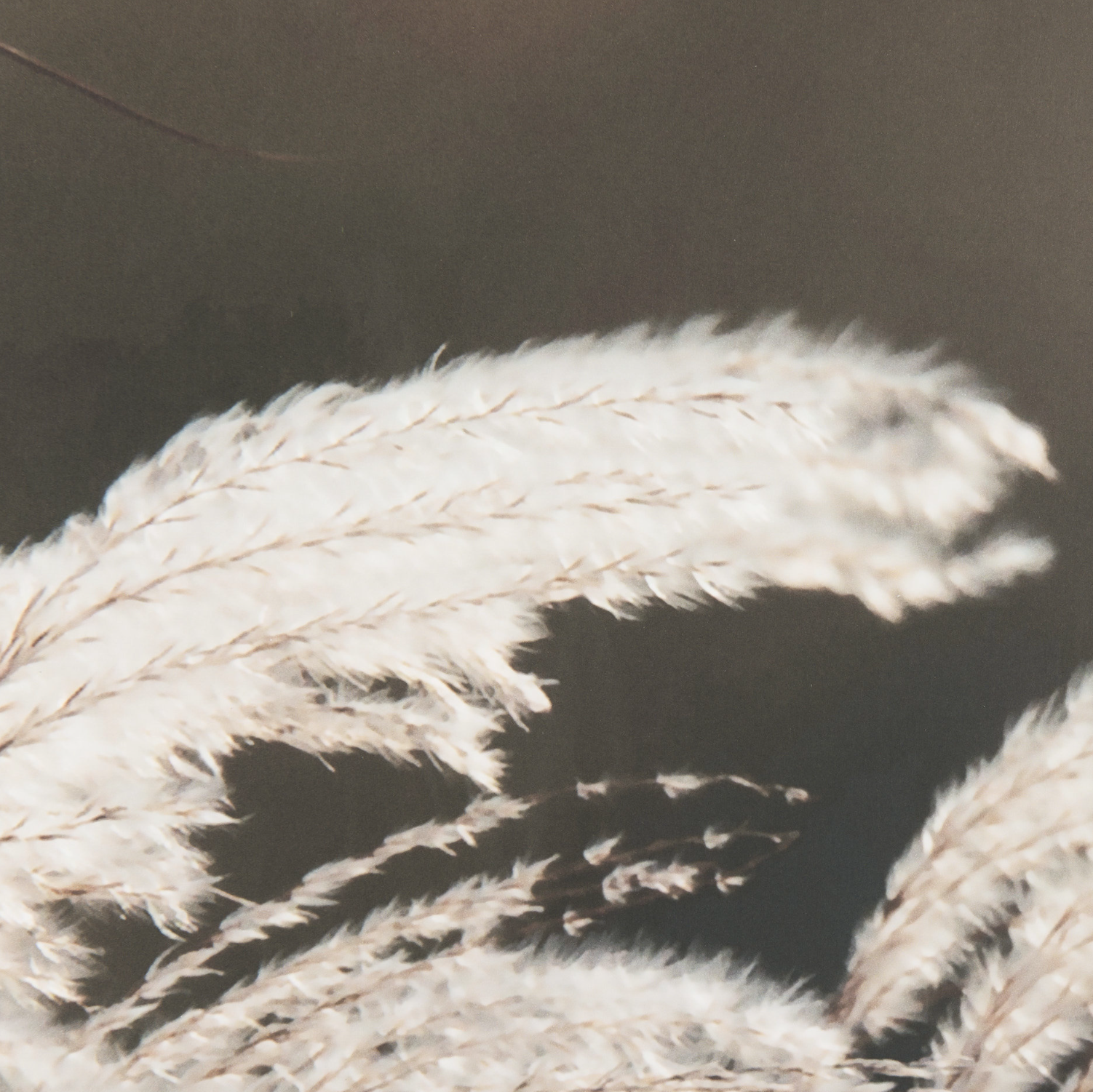 Nature's Melody Set of 2 Wall Art: Up-Close Print View