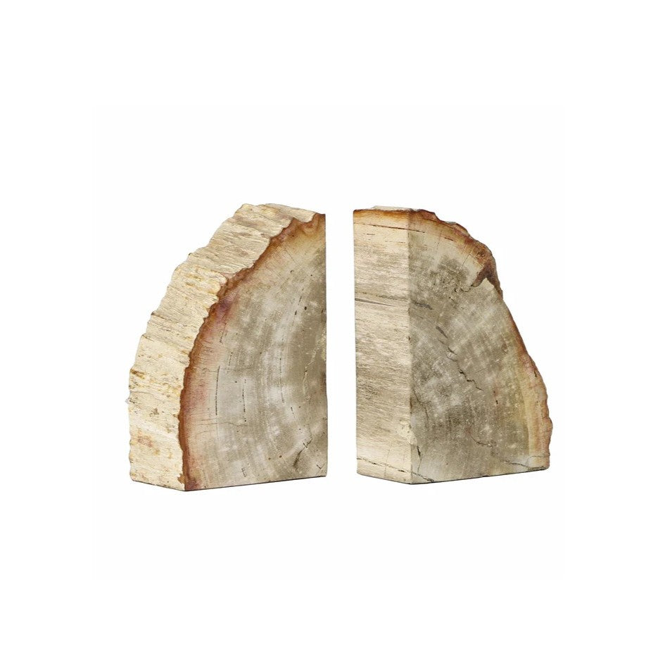 Petrified Bookends