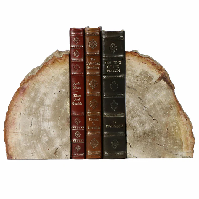 Petrified Bookends