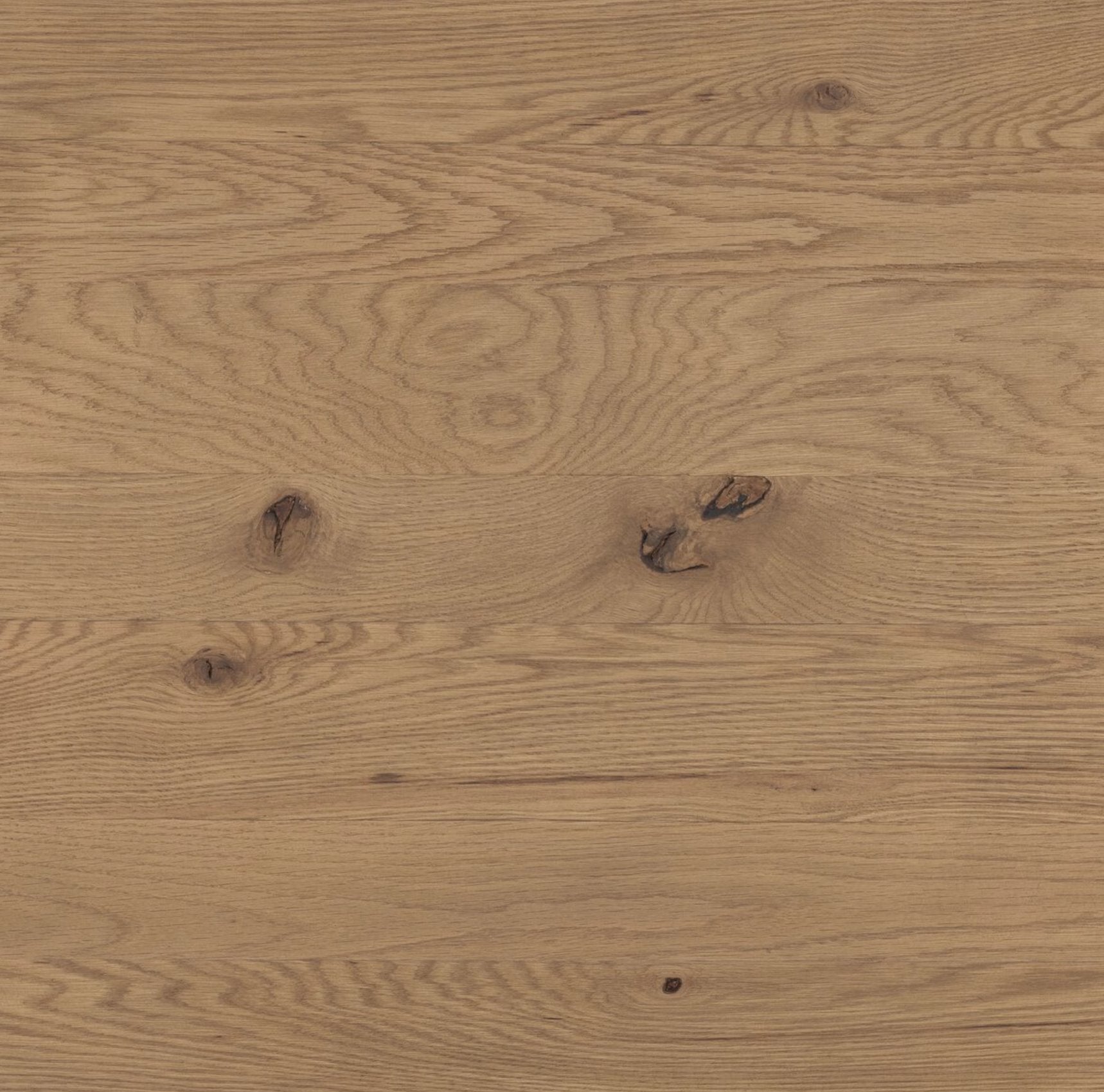 Pickford End Table: Thick Oak Veneer View