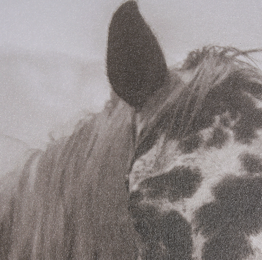 Spotted Solo Framed Art Print: Up-Close Print View