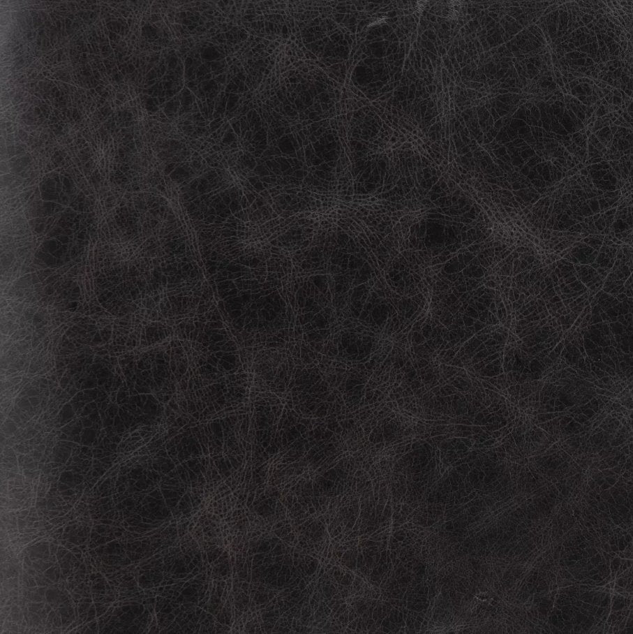 Lexi Sofa in Sonoma Black: Up-Close Leather View