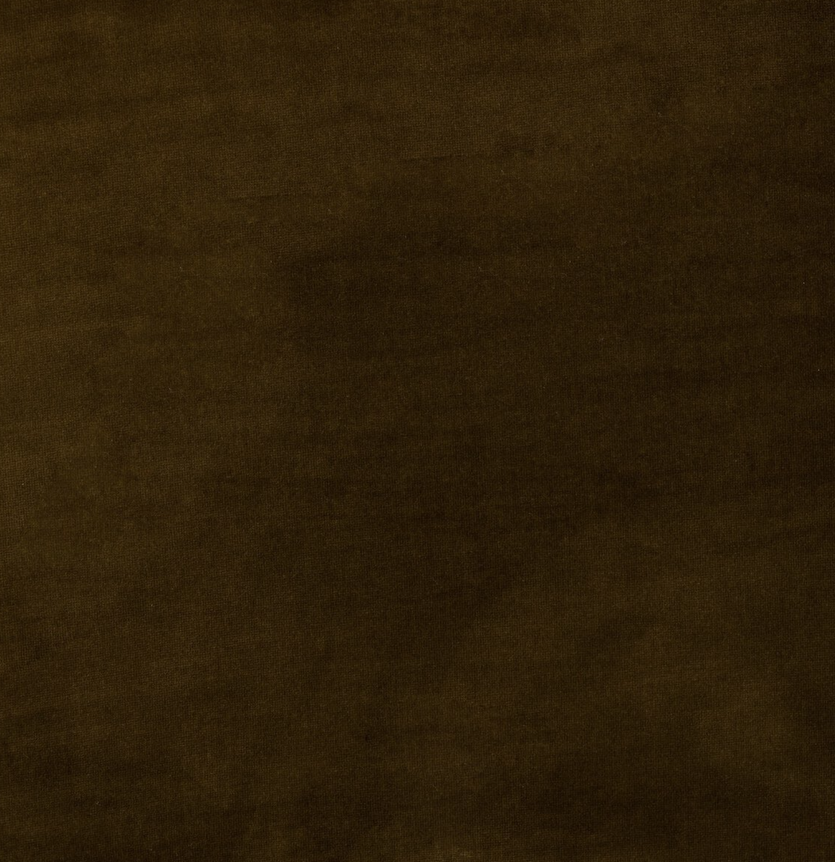 Sully Chair: Cotton-Velvet Upholstery View