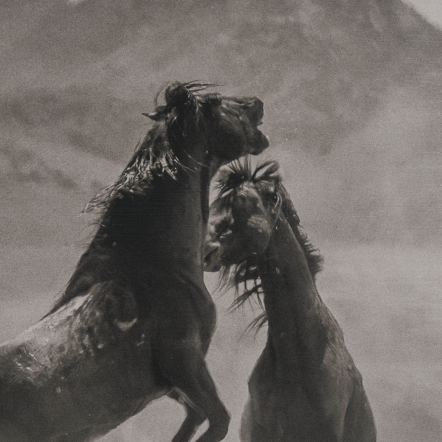 The Meeting Wall Art: Up-Close Print View