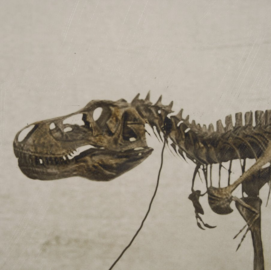 The Walk: 2nd Up-Close Product View