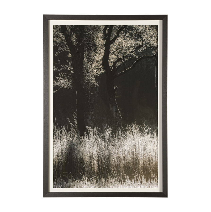 Tranquil Symmetry-Style I: Available at City Home PDX