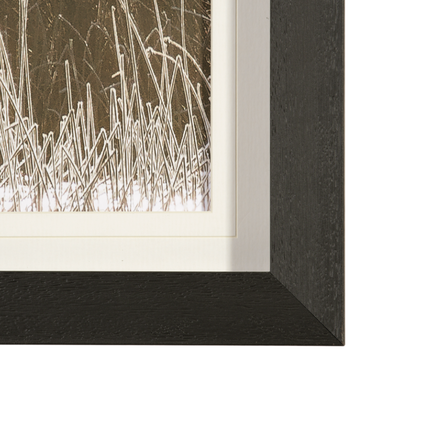 Tranquil Symmetry: Product Corner View