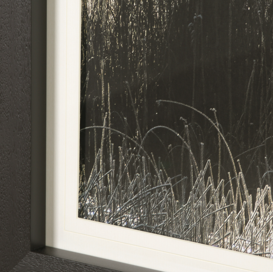 Tranquil Symmetry: Matted Print Corner View