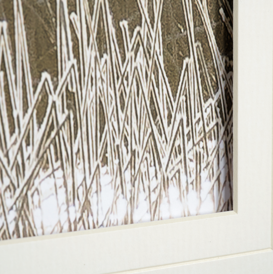 Tranquil Symmetry: Up-Close Matted Print View