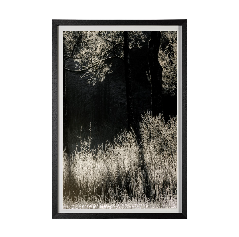 Tranquil Symmetry-Style II: Available at City Home PDX