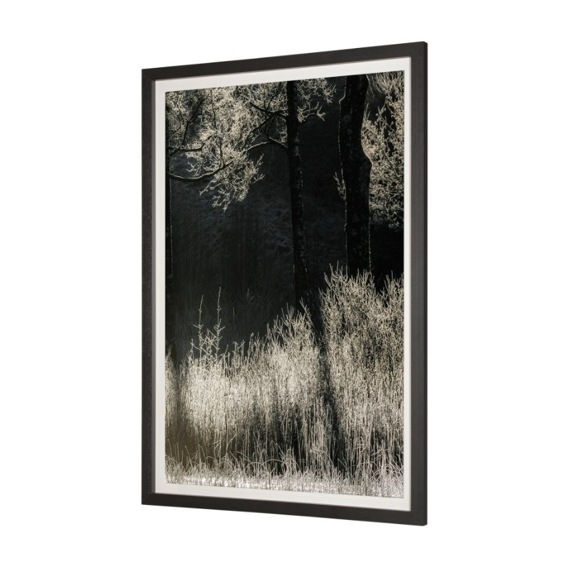 Tranquil Symmetry-Style II: Product View