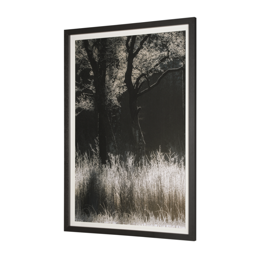 Tranquil Symmetry-Style I: Product View