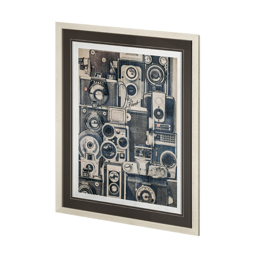 Vintage Cameras Framed Art Print: Product View