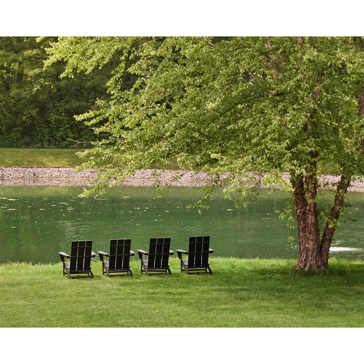 Modern Adirondack Chair - 4 chairs arranged by a pond