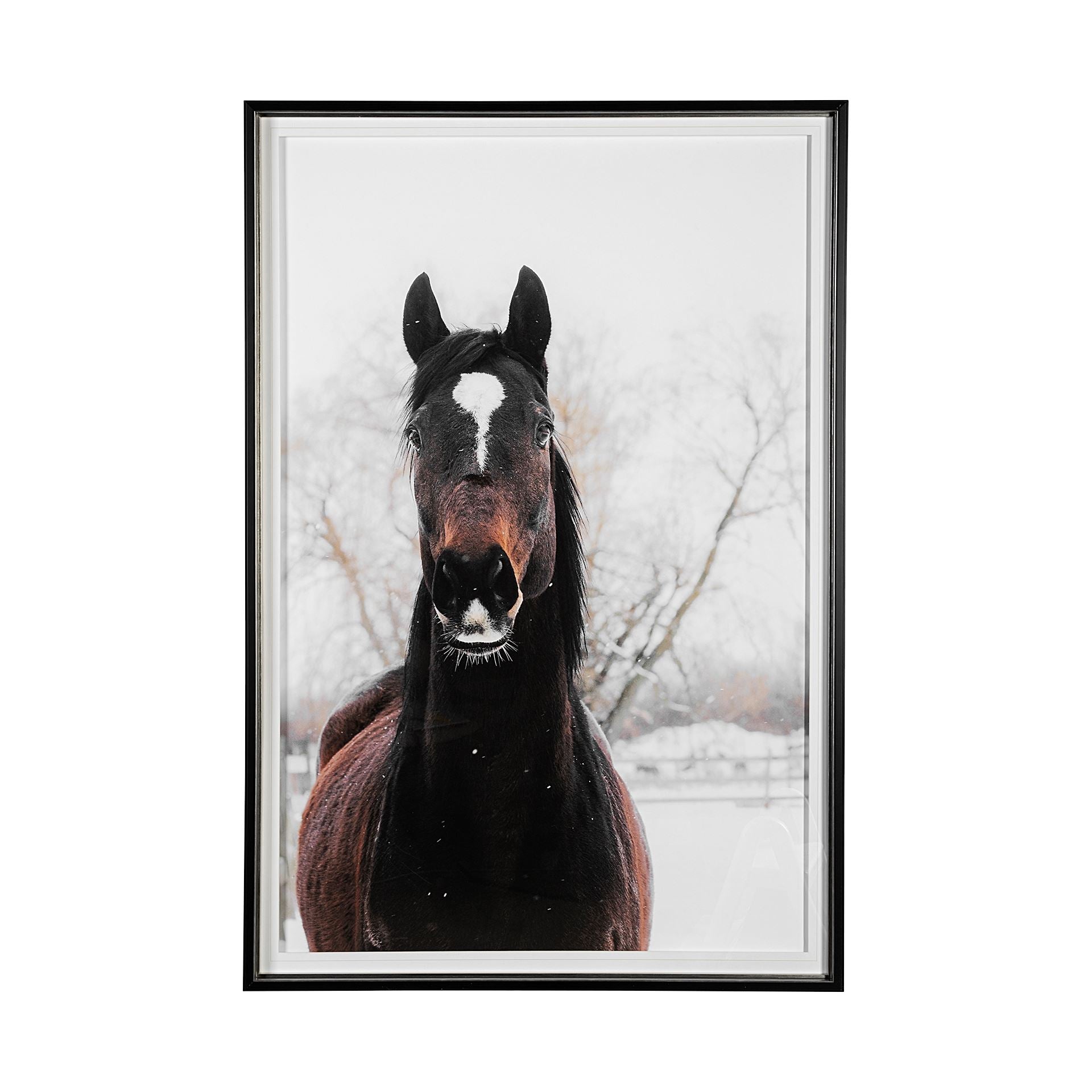 Stable Brown Horse Wall Art