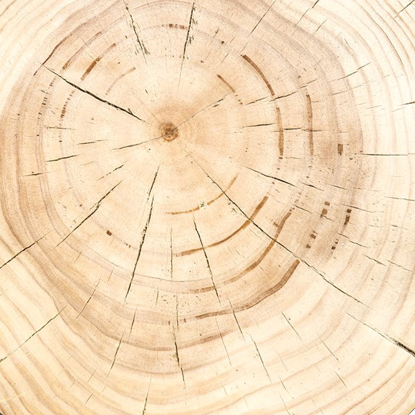 Inez end table in natural pine, top