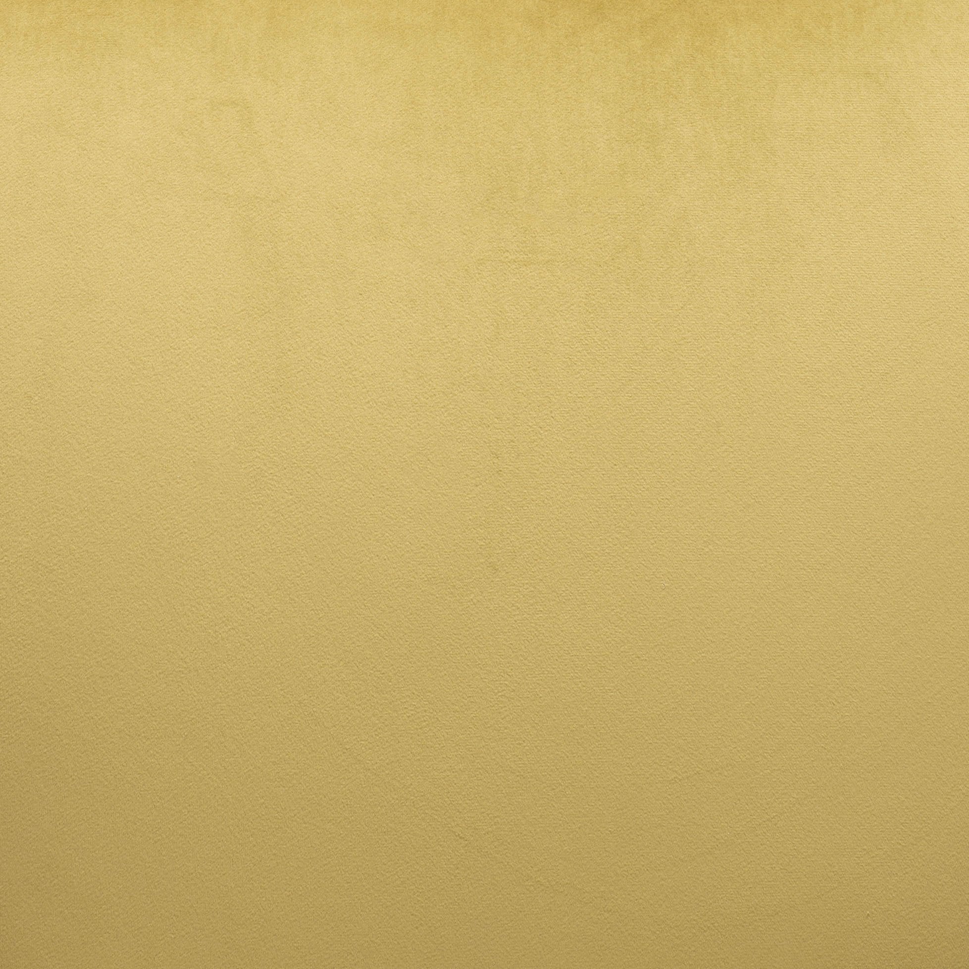 Tabitha Accent Chair - Zuo