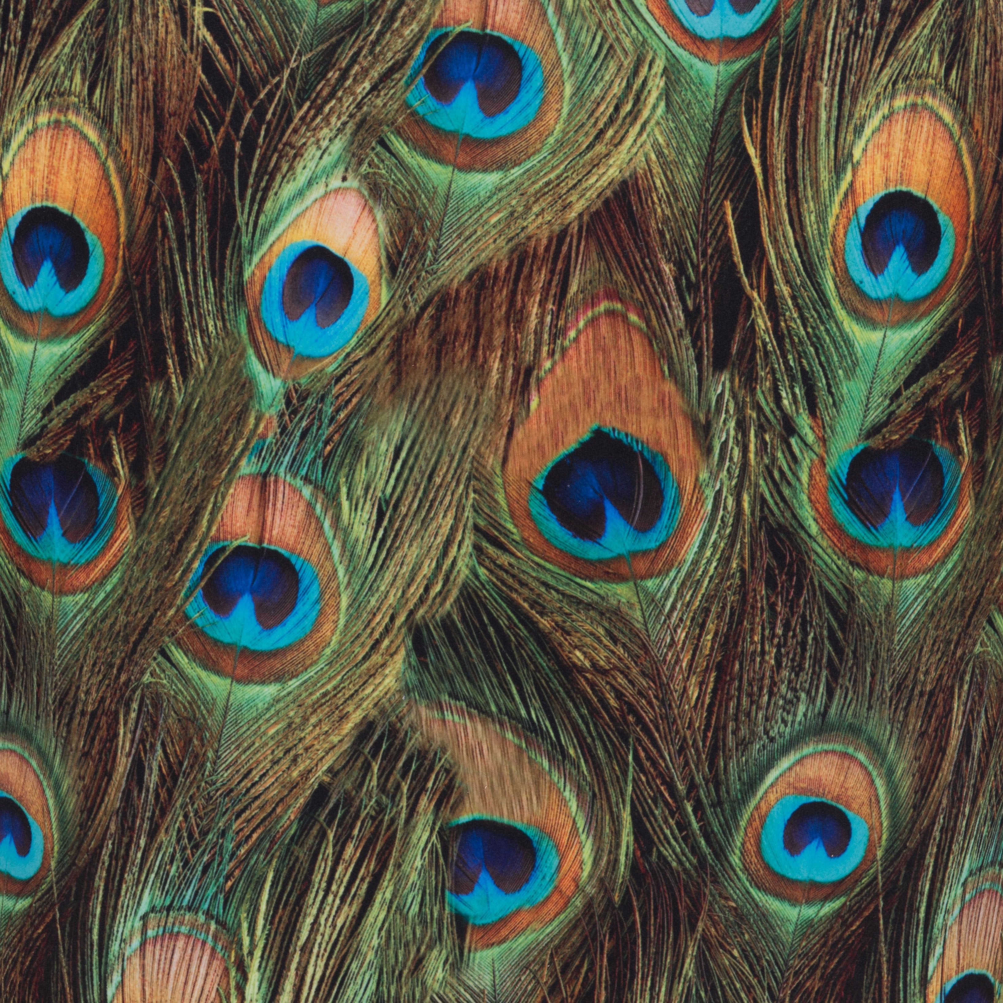 Tabitha Accent Chair - Zuo