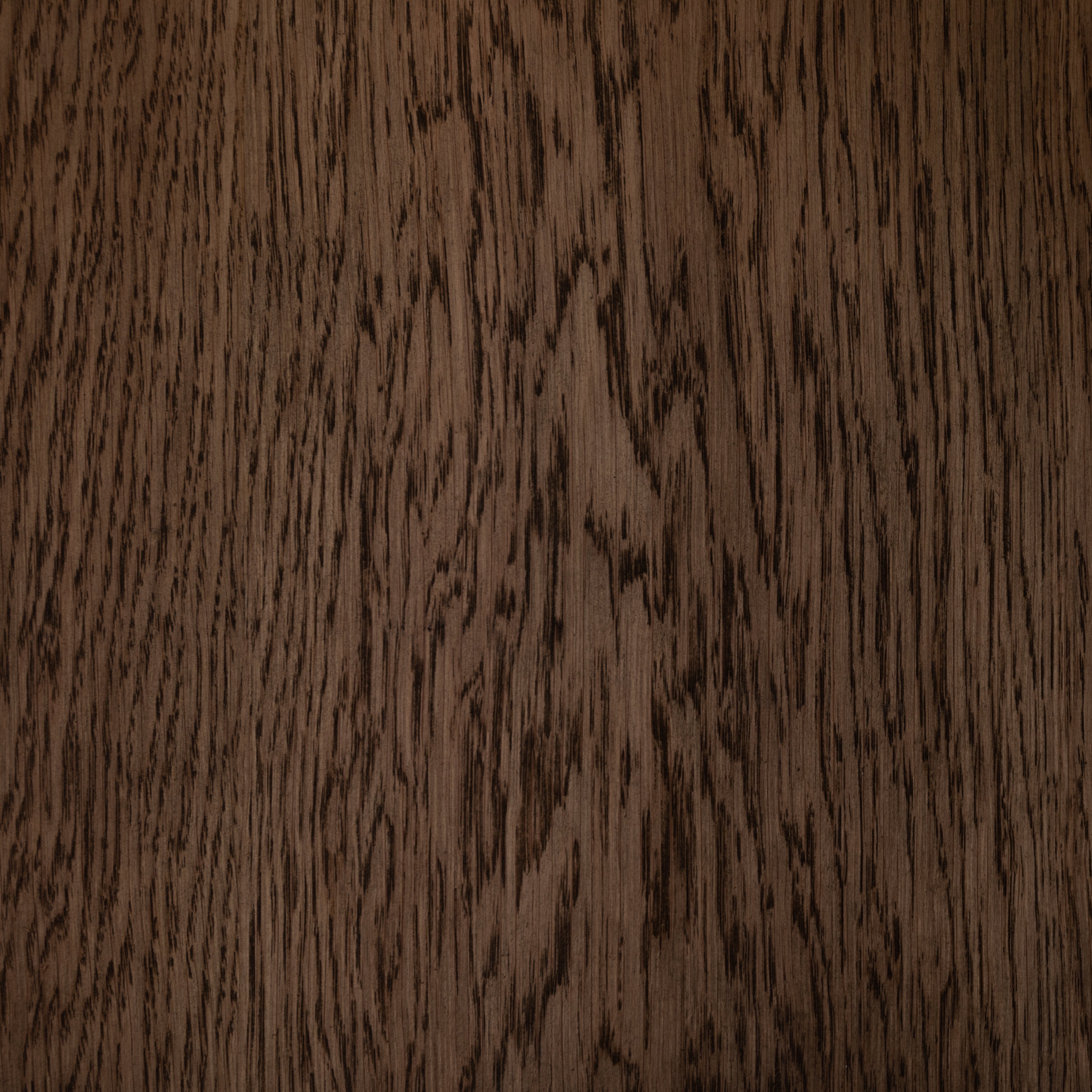 Tolle Cabinet - Drifted Oak