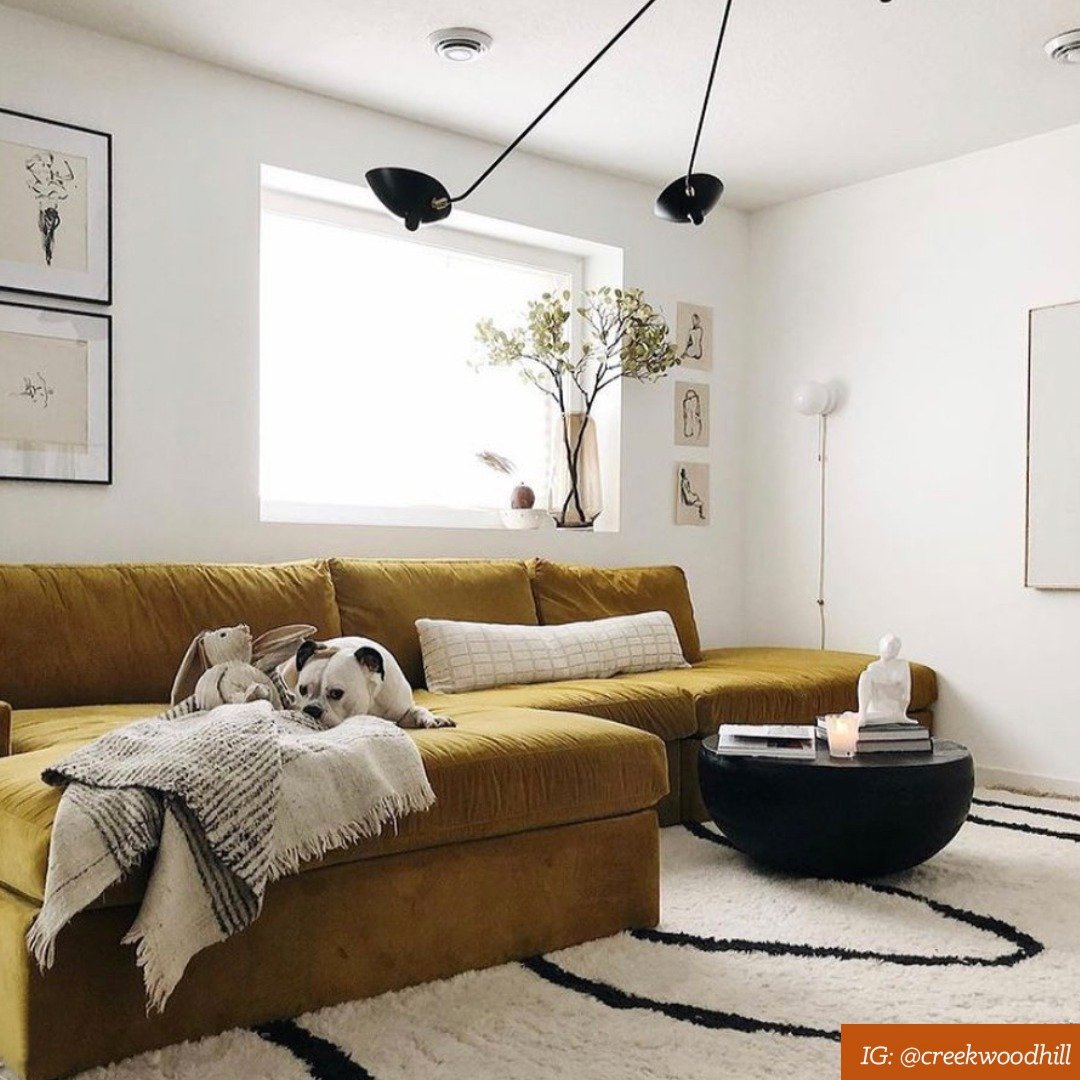 Bingham Collection - Jonathan Louis