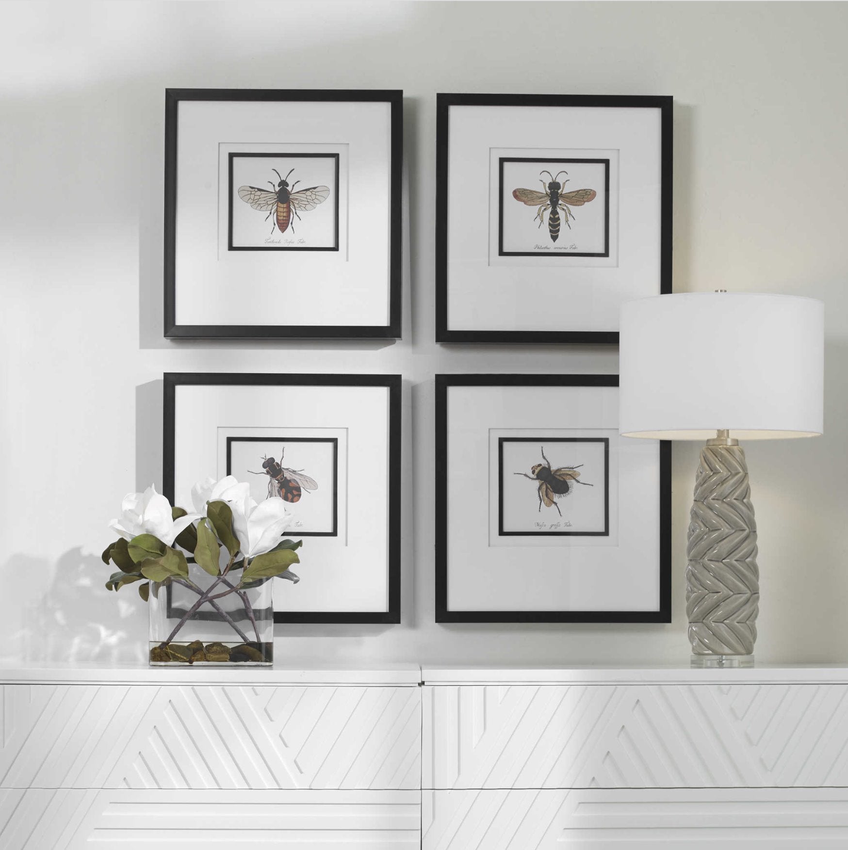 Anthophila Framed Prints: Product Style View