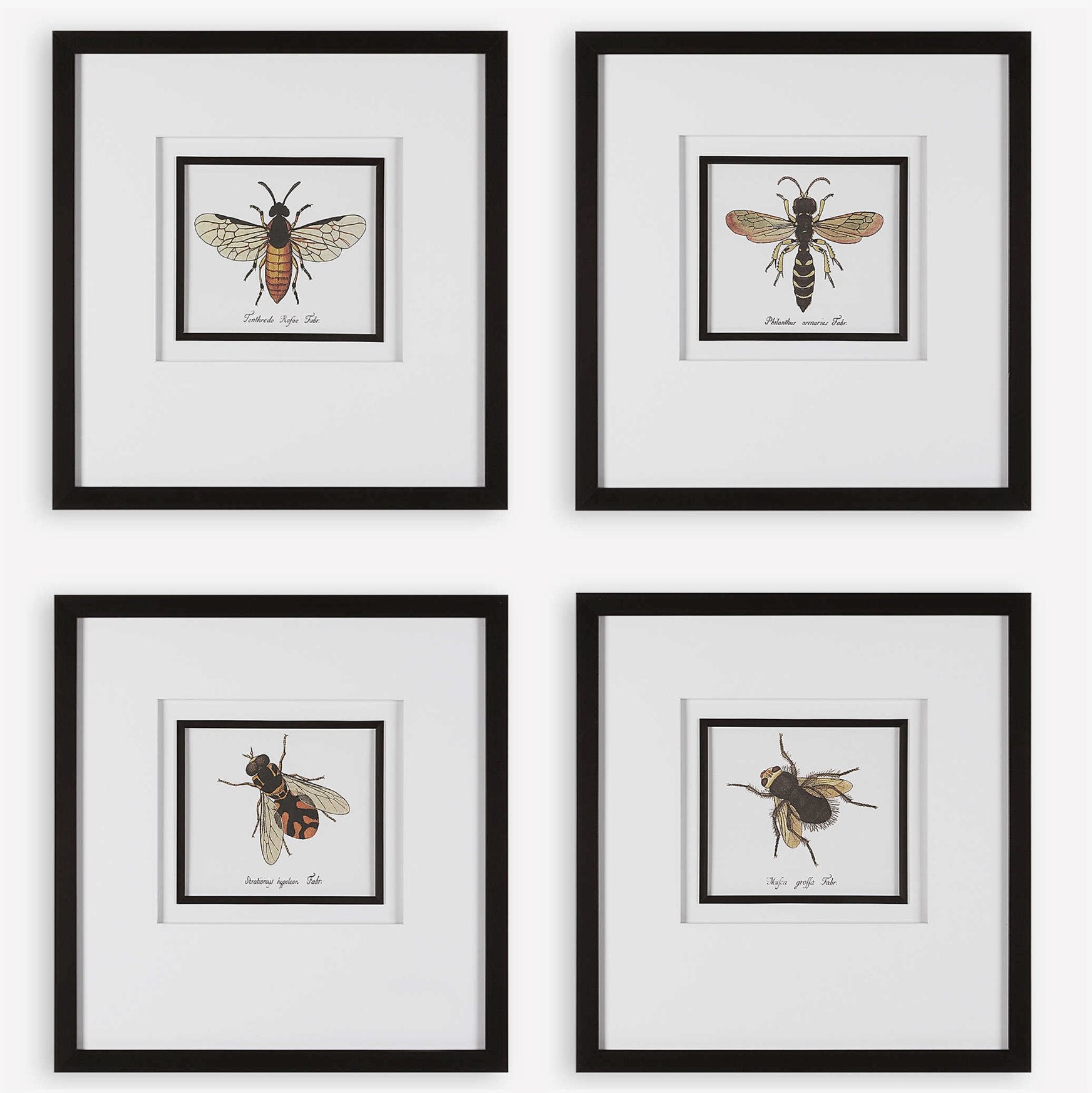 Anthophila Framed Prints: Available at City Home PDX