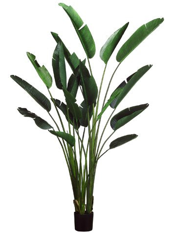 Bird of Paradise Faux Plant - Allstate Floral
