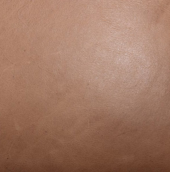 Braden Recliner Accent Chair: Dakota Warm Taupe Leather View