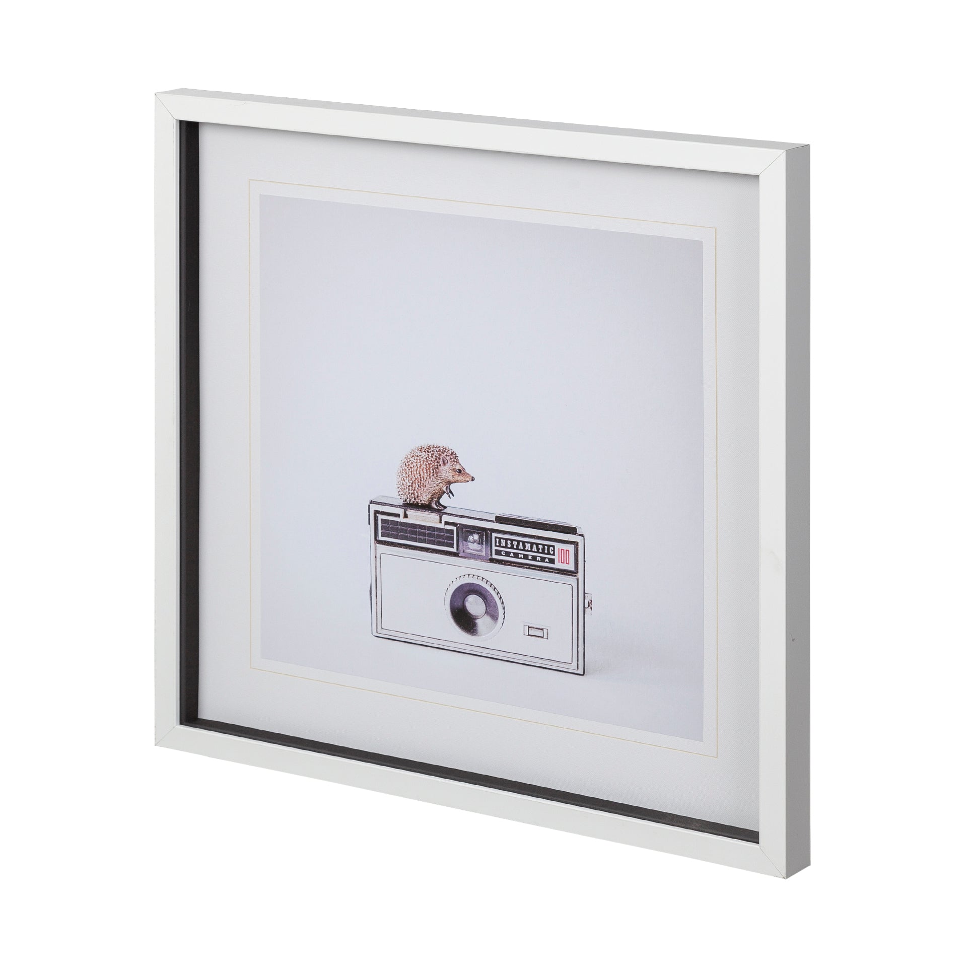 Hedgehog & Vintage Camera: Available at City Home PDX