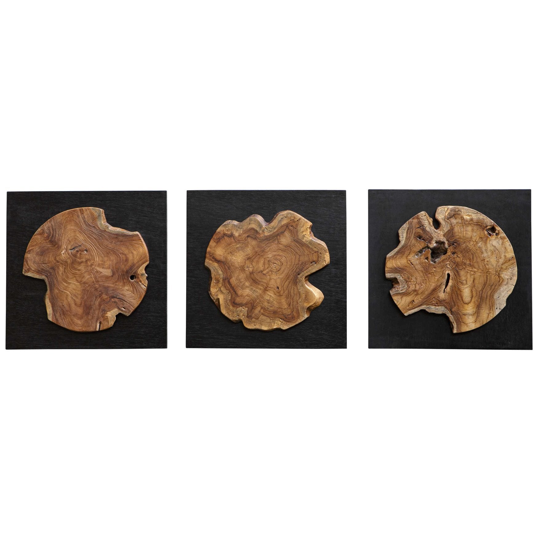 Kolini Wood Wall Decor: Available at City Home PDX