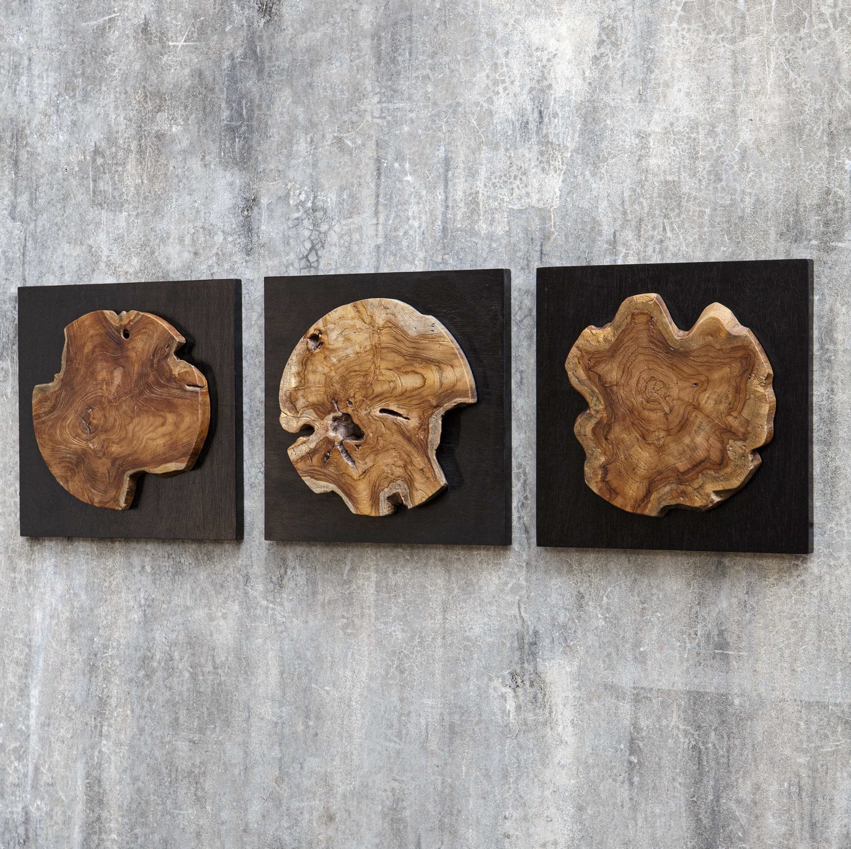 Kolini Wood Wall Decor: Product Style View