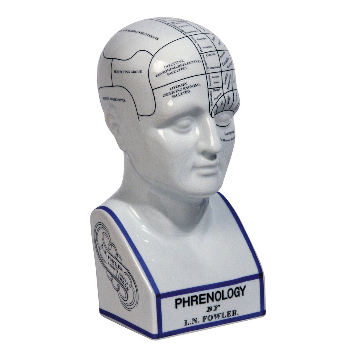 Ceramic Phrenology Head Desk Model - Authentic Models