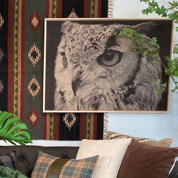 Owl Framed Artwork - Splashworks