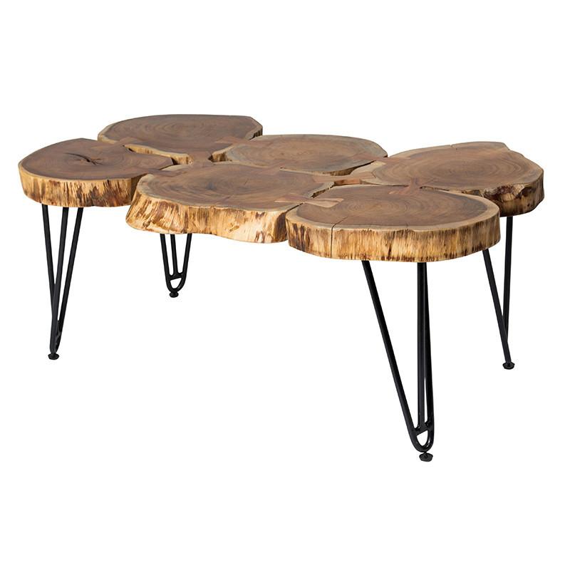Deschutes Large Coffee Table - City Home - Portland Oregon - Furniture and Home Decor
