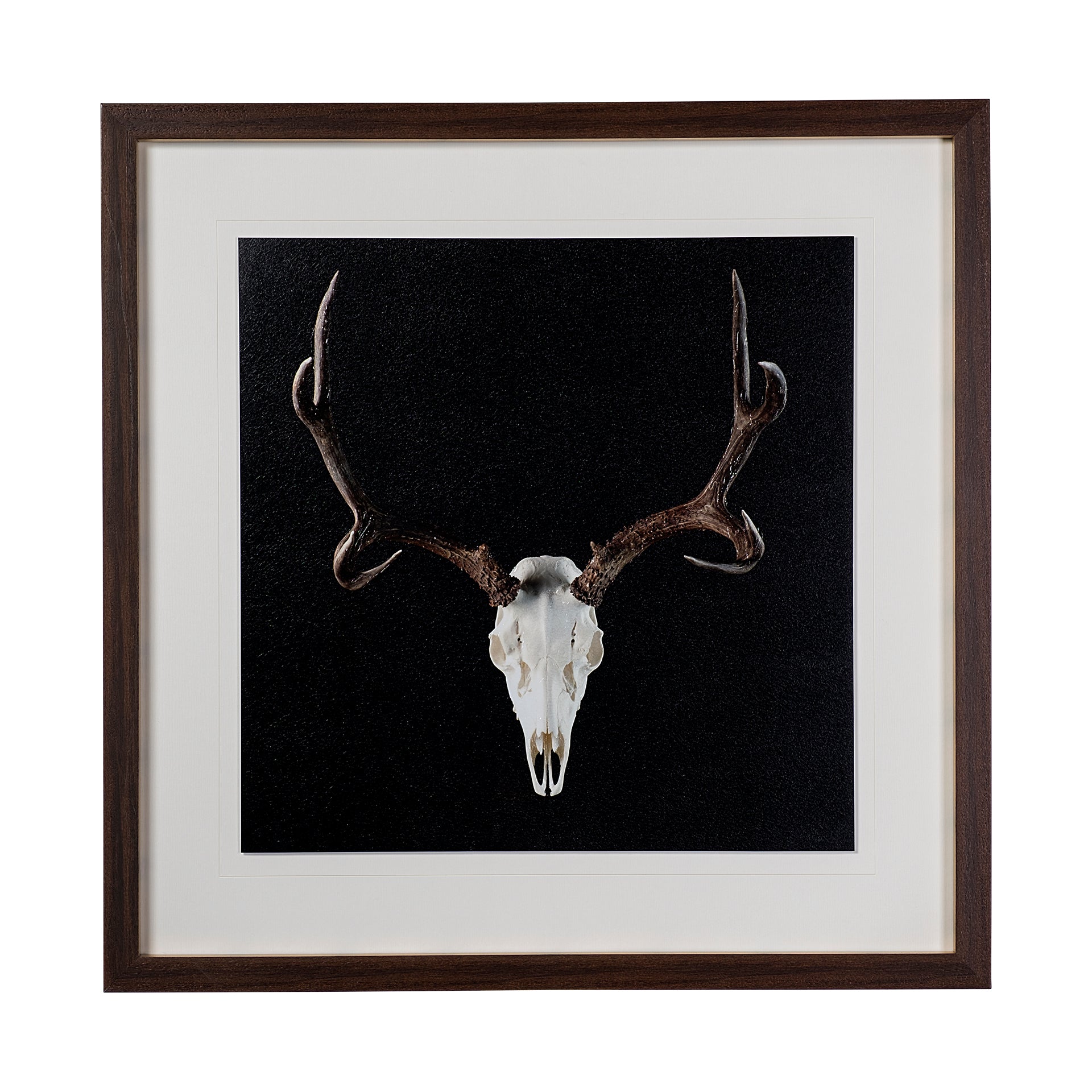 Rustic Stag: Available at City Home PDX