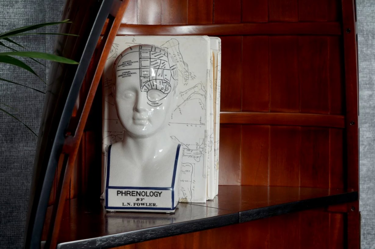 Ceramic Phrenology Head Desk Model