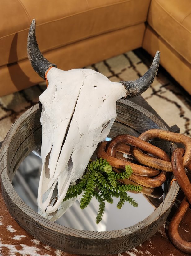 Buffalo Skull/Horns Home Decor: Available at City Home PDX