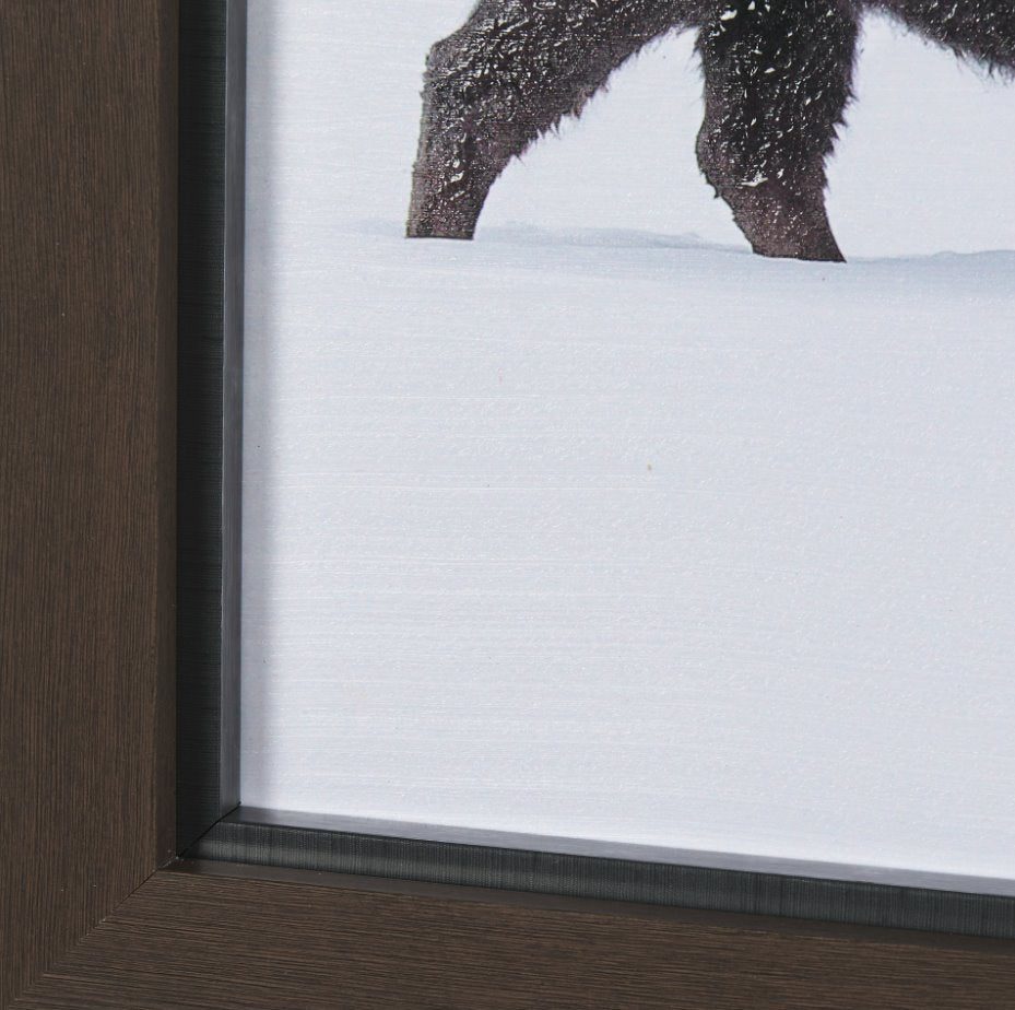 Frozen Trek Framed Art: Corner View