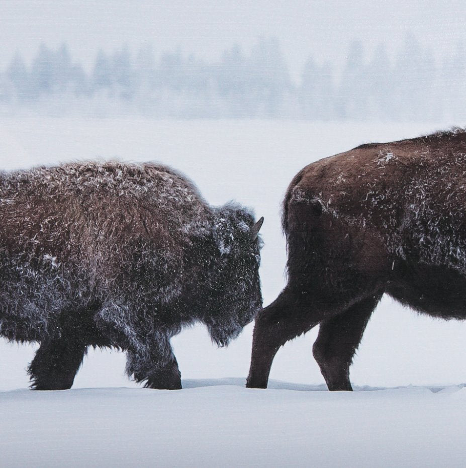 Frozen Trek Framed Art: Print View