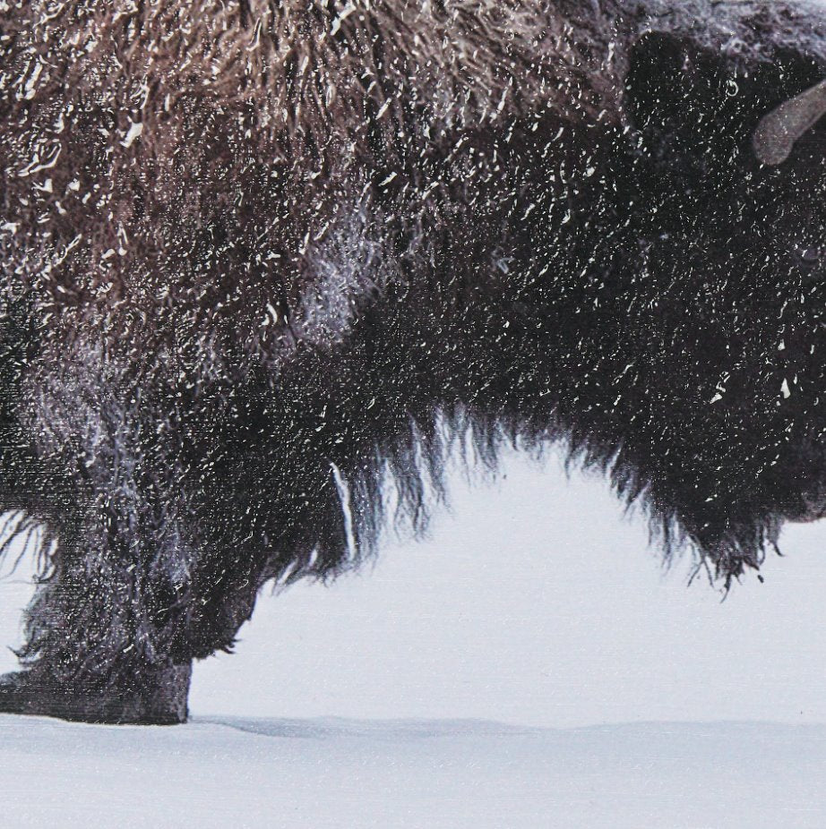 Frozen Trek Framed Art: Up-Close View