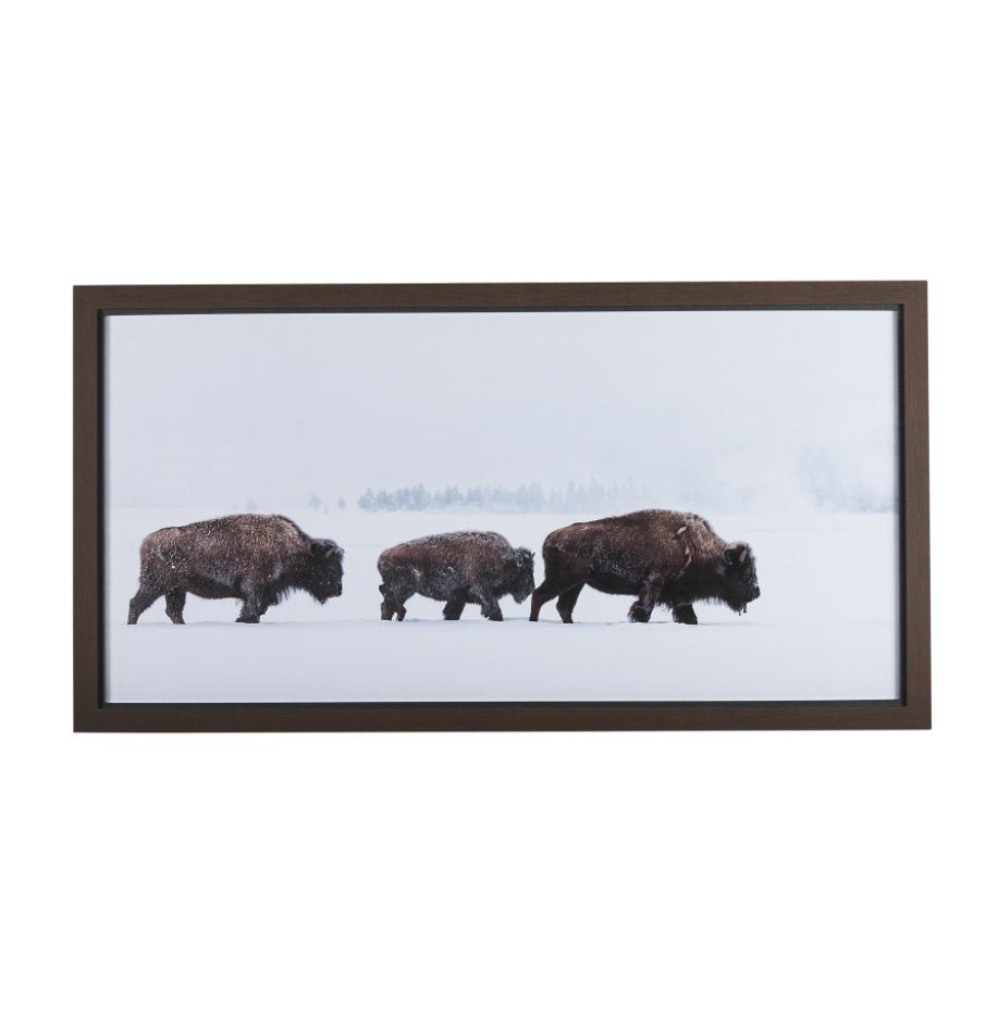 Frozen Trek Framed Art: Available Online at City Home PDX