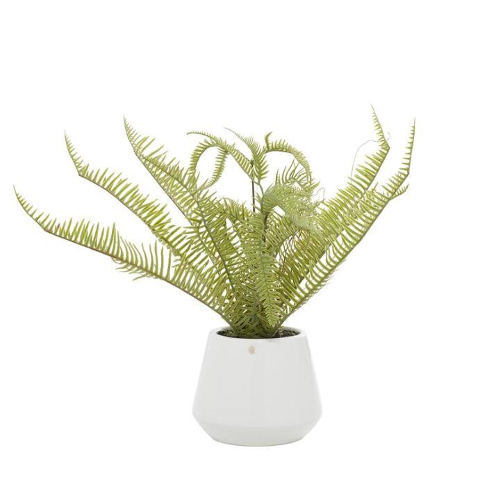 fake fern plants Green Faux Fern with White Ceramic Pot