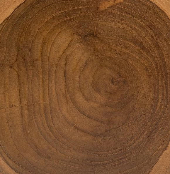 Rudio Natural Wood Outdoor Accessory: Up Close View