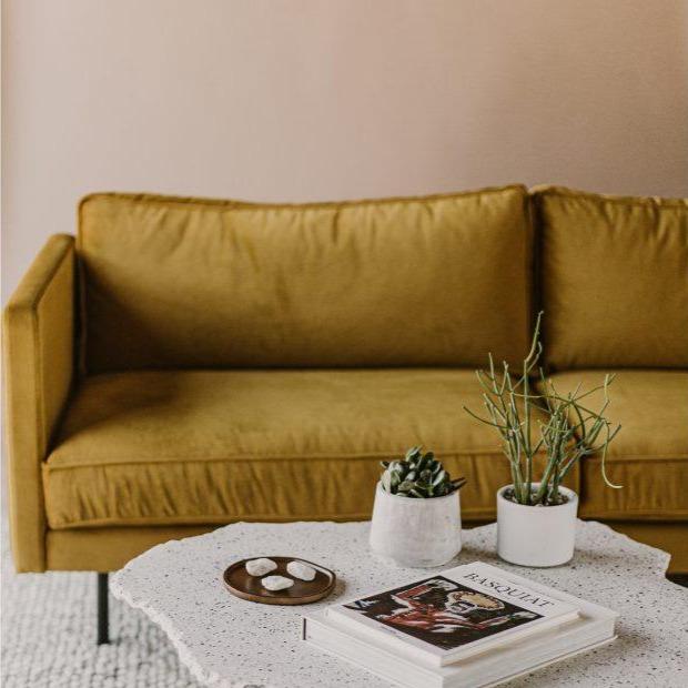 Raphael Sofa - 2 Fabrics - Moe's