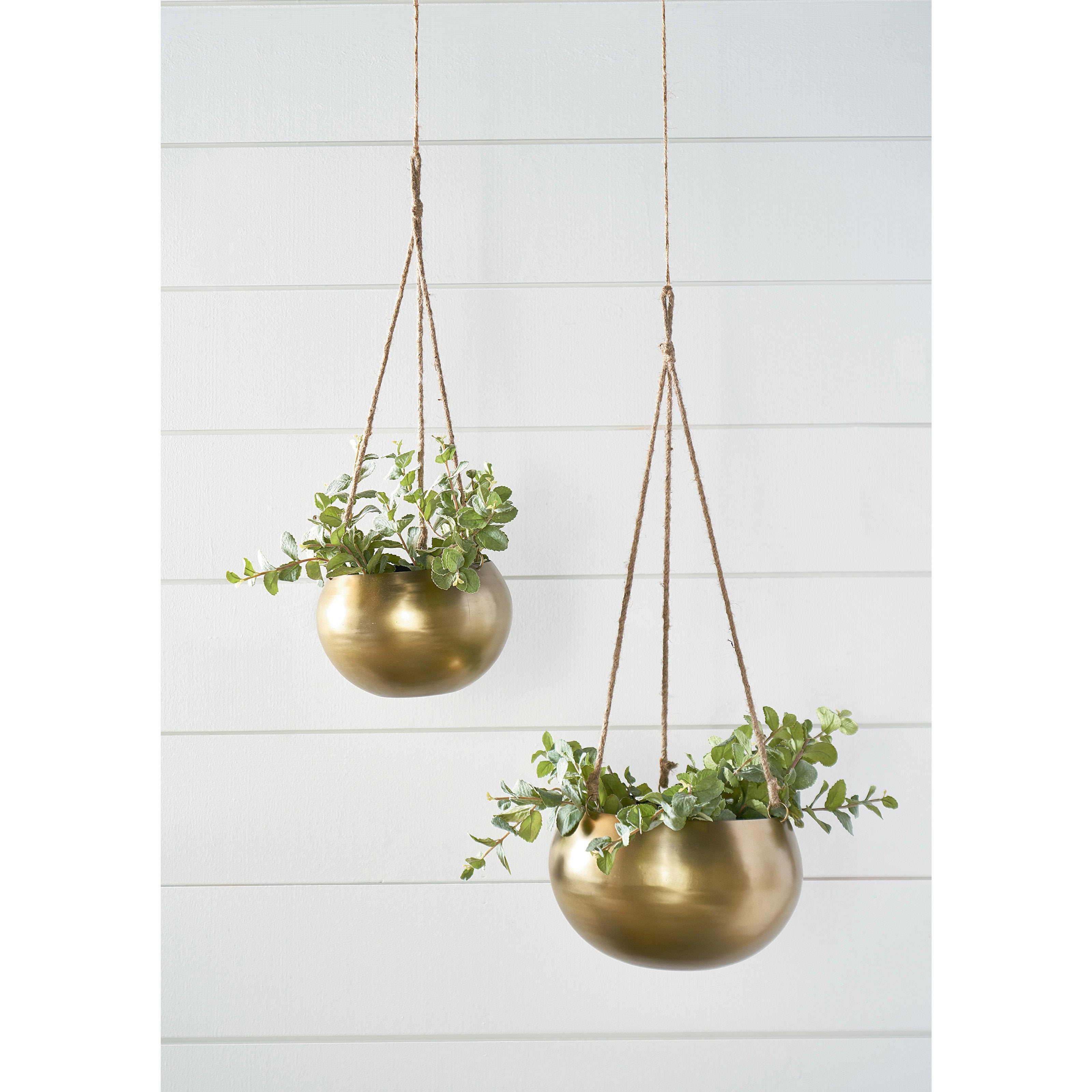 Hanging Brass Planter - Magnolia Home