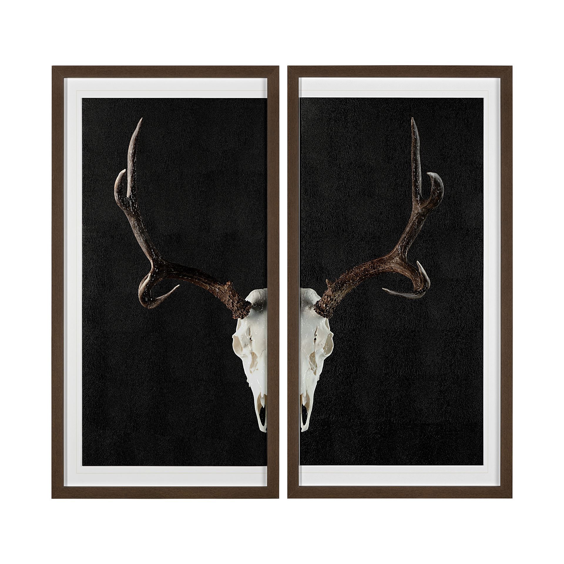 Rustic Stag Horn Art | City Home
