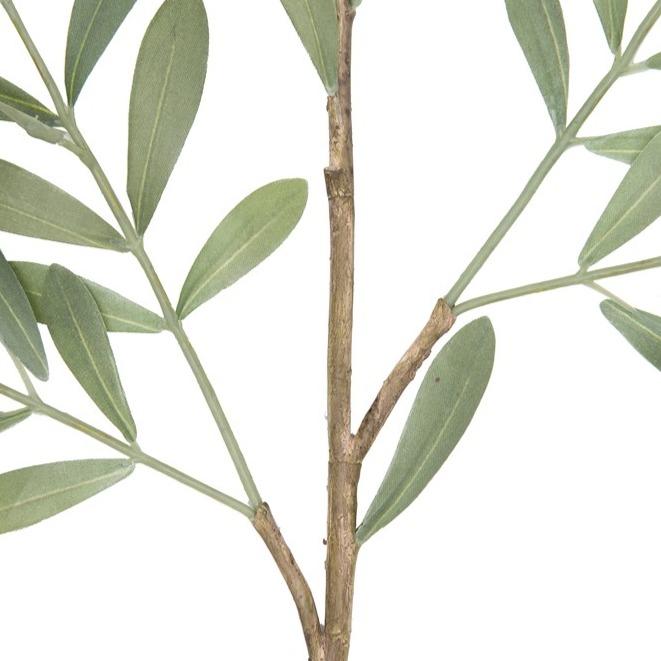 Faux Olive Branch - Creative Co-Op