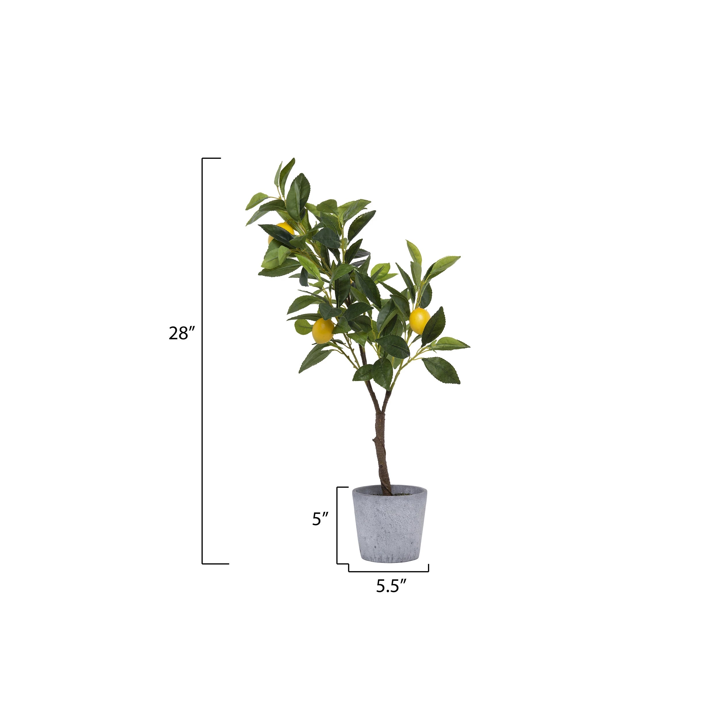 Faux lemon tree in cement pot dimensions