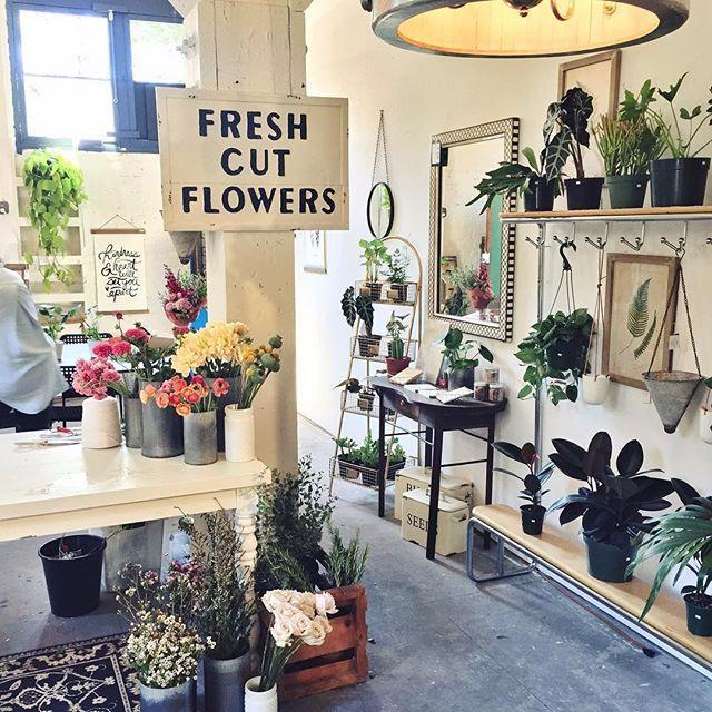 Fresh Cut Flowers Sign - Peacock Park Design